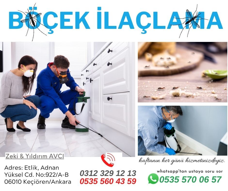 Bademlik Böcek İlaçlama