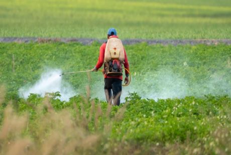 Profesyonel İlaçlama 