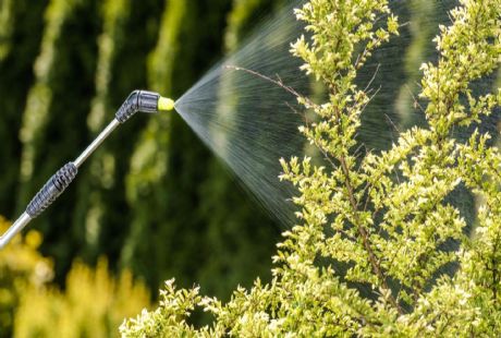 Uygun Fiyatlı İlaçlama