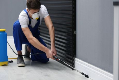 Dezenfeksiyon ve İlaçlama