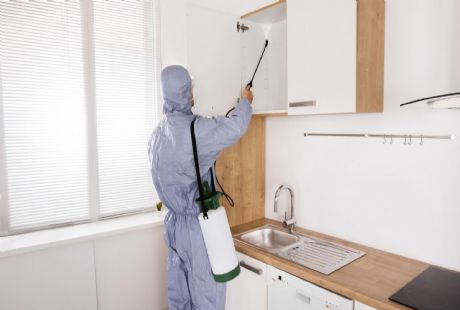 Güvenilir İlaçlama Firmaları 