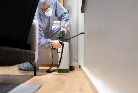 İlaçlama Fiyatları