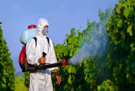 Açık Alan İlaçlama