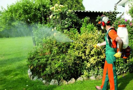 Bahçe İlaçlama