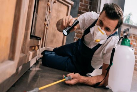 Evde Doğal İlaçlama