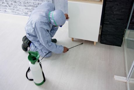 En İyi İlaçlama Firması