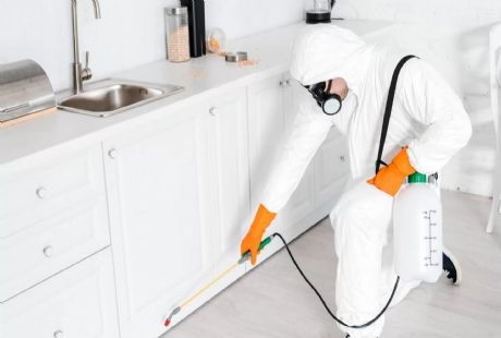 Zehirli Olmayan İlaçlama