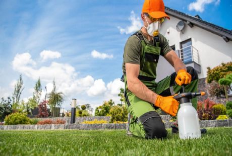 Ucuz Böcek İlaçlama