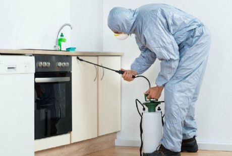 Kokusuz Böcek İlaçlama