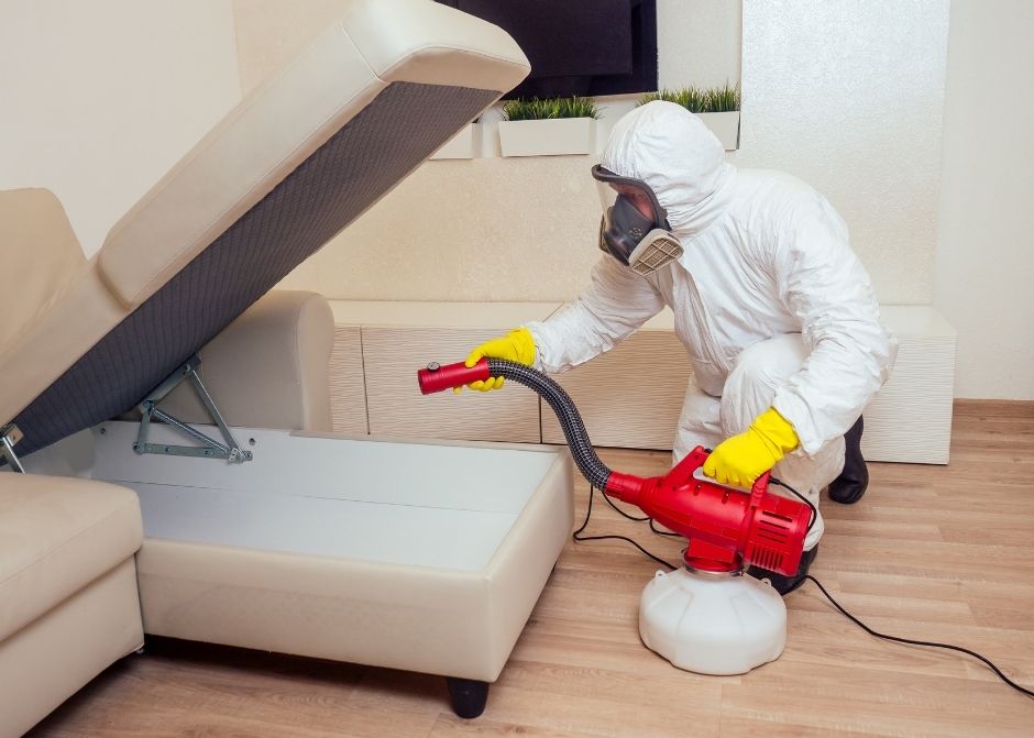 Kütahya Böcek İlaçlama