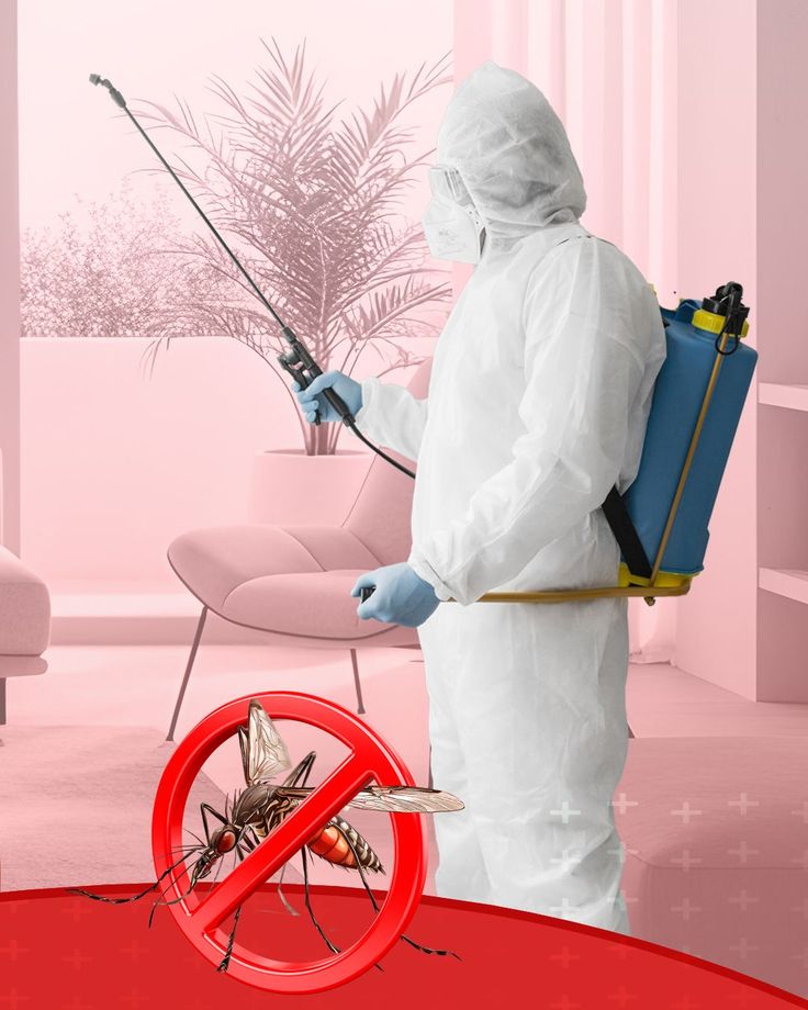 Batman böcek ilaçlama hizmeti - profesyonel ilaçlama uygulaması