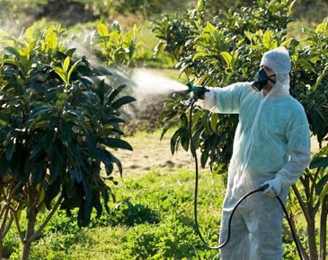 Kapaklı böcek ilaçlama uygulaması - profesyonel ilaçlama
