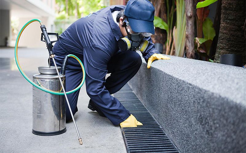 İncek böcek ilaçlama hizmetini temsil eden profesyonel uygulama görseli