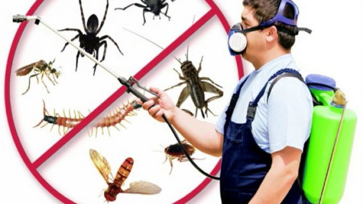 Uşak böcek ilaçlama hizmeti - profesyonel haşere kontrol uygulaması